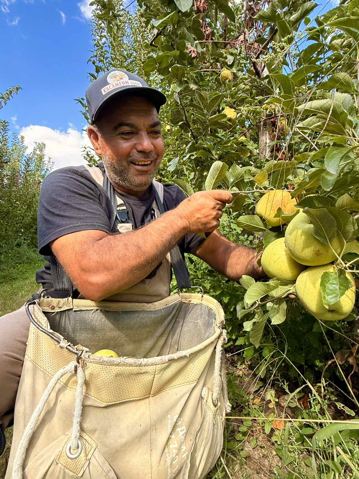 Hand Picking background 2